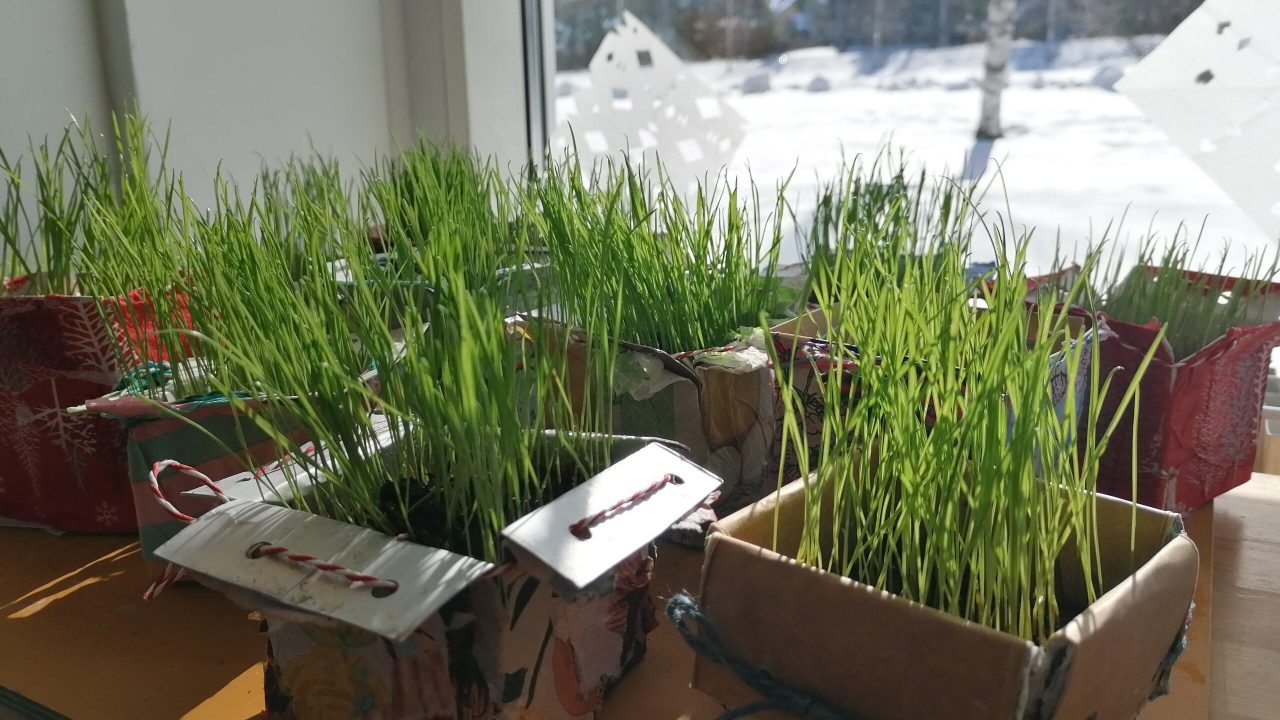 95399fc6-8982-402e-abc4-dee048f51629